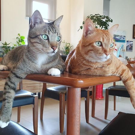 Captain Ou Homestay Huxi ภายนอก รูปภาพ
